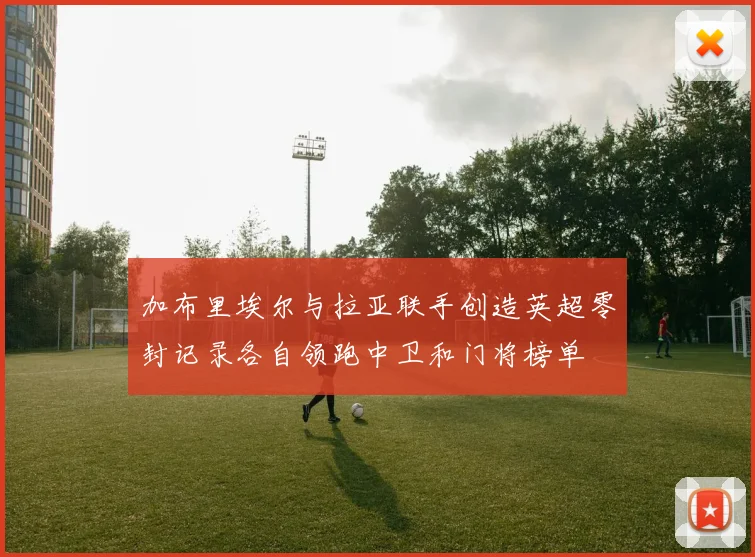 加布里埃尔与拉亚联手创造英超零封记录各自领跑中卫和门将榜单