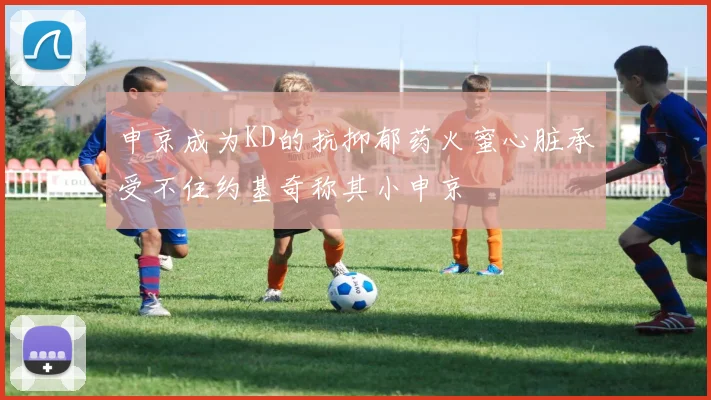 申京成为KD的抗抑郁药火蜜心脏承受不住约基奇称其小申京