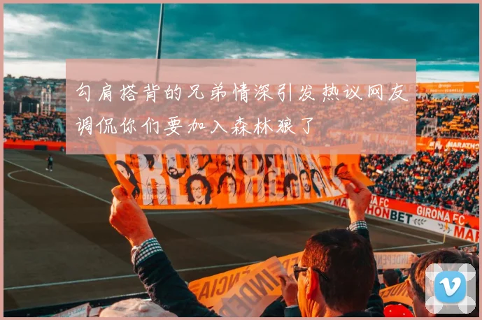 勾肩搭背的兄弟情深引发热议网友调侃你们要加入森林狼了