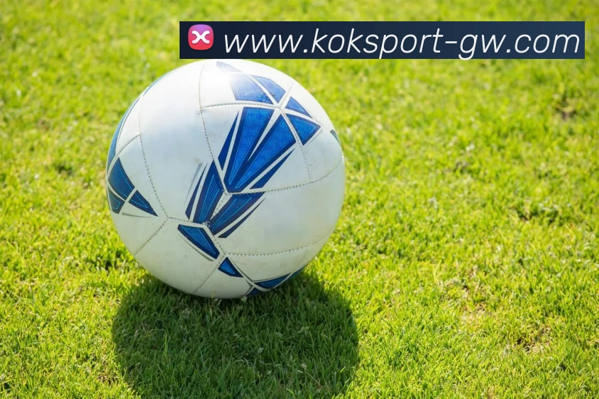 App Interface Preview