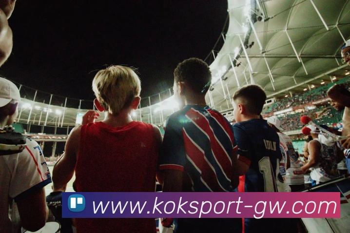 KOK体育APP 封面图